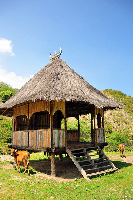 “uma fukun”，东帝汶Aipelo传统的神圣仪式屋